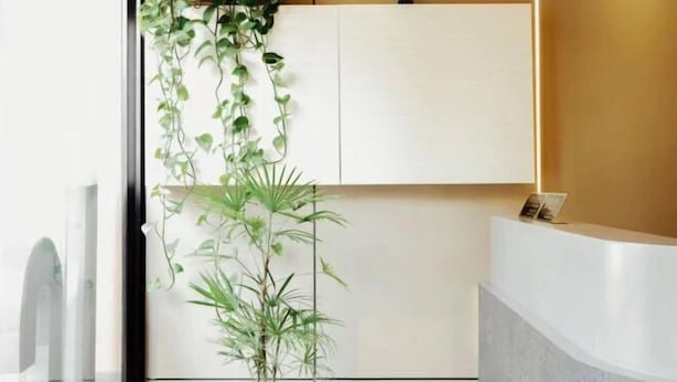 A reception area with a white reception desk, a large potted plant, and a wall-mounted cabinet. - Shanghai Jincheng Hotel (Zhujiajiao Ancient Town) (Shanghai)