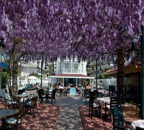 Phòng đôi hoặc 2 giường đơn Tiêu chuẩn | Quang cảnh vườn