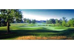 Golf - Mid-century Modern Home in heart of Oakland County (Pontiac)