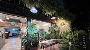 Ein stilvolles Café im Innenbereich mit modernen Einrichtungsdetails, verschiedenen Topfpflanzen und einer Sitzgruppe mit Tischen und Stühlen.