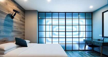 Punk Ballet Ins Hotel