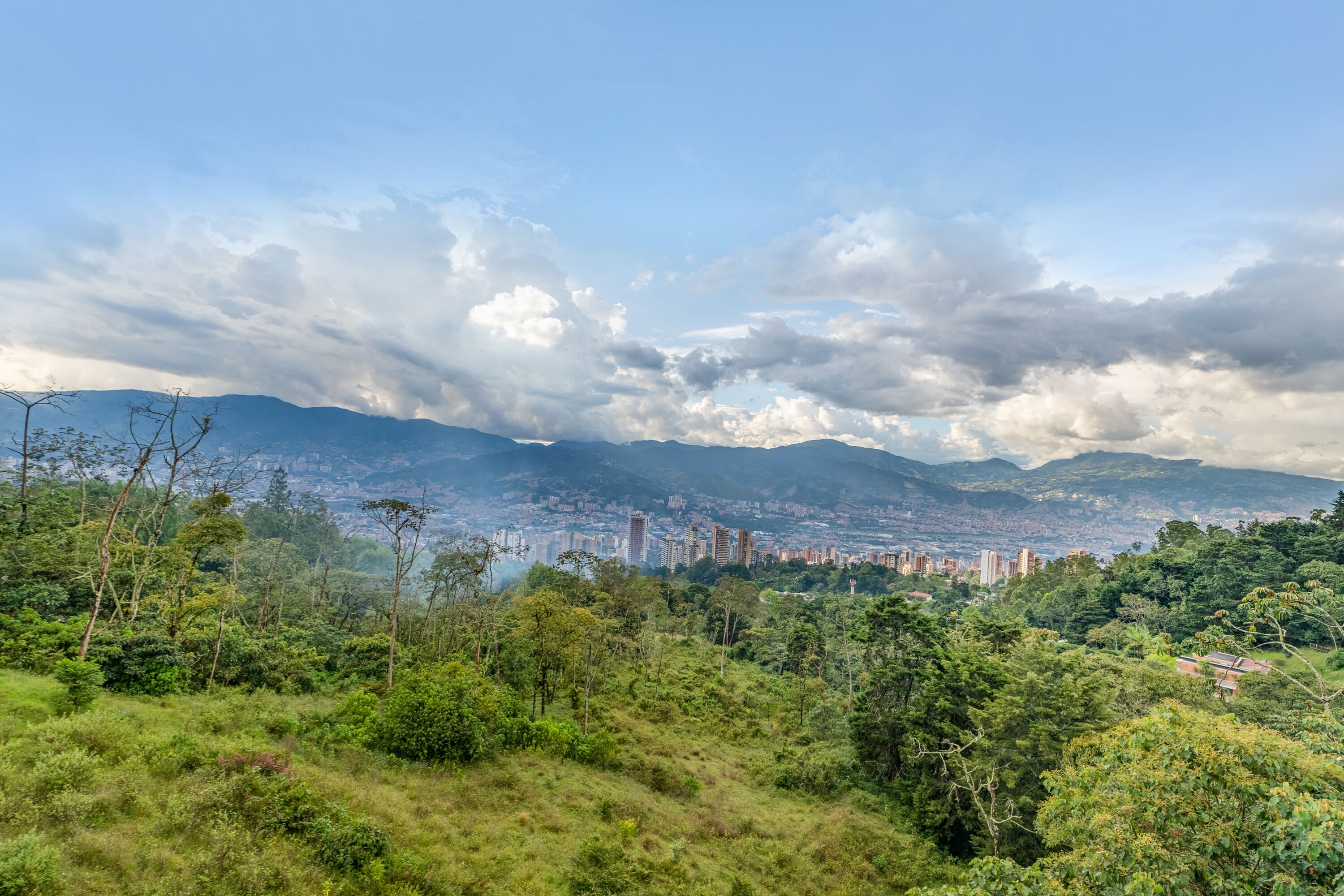 Photo - The Icon Resort