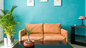 A teal-walled room with a brown leather sofa, a black table, and a potted plant. - Acogedor y Amplio Departamento Roma Nte (Mexico City)