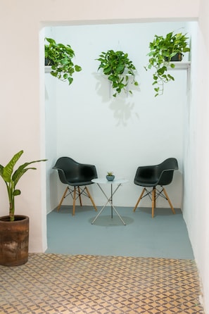 Una habitación pequeña con dos sillas negras, una mesita y tres plantas colgantes.