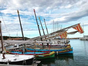 Ein Yachthafen mit mehreren bunten Booten, darunter Masten und Takelage.