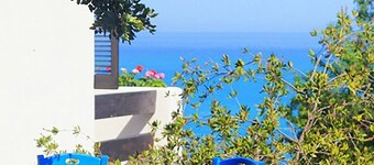Villa with swimming pool with spectacular sea views and Mediterranean vegetation