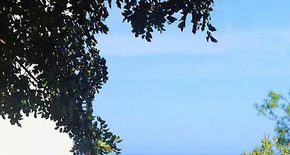 Villa with swimming pool with spectacular sea views and Mediterranean vegetation