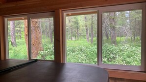 Una habitación con ventanas amplias que dan a un área boscosa.