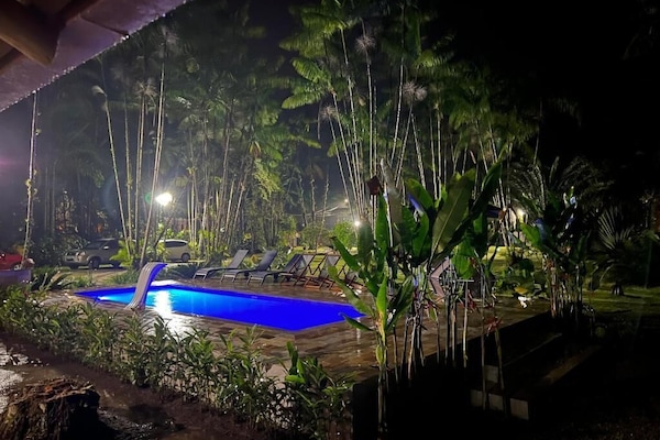 Outdoor pool, sun loungers