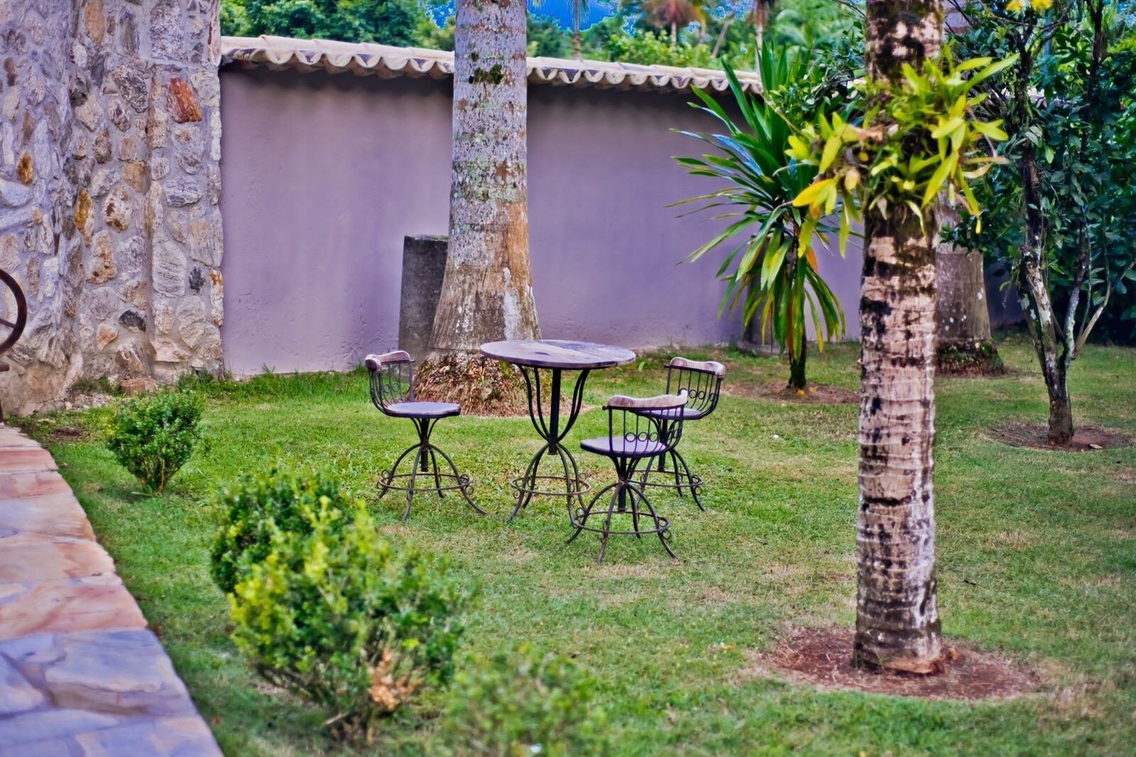A patio with a stone wall, a small palm tree, and a table with four chairs.