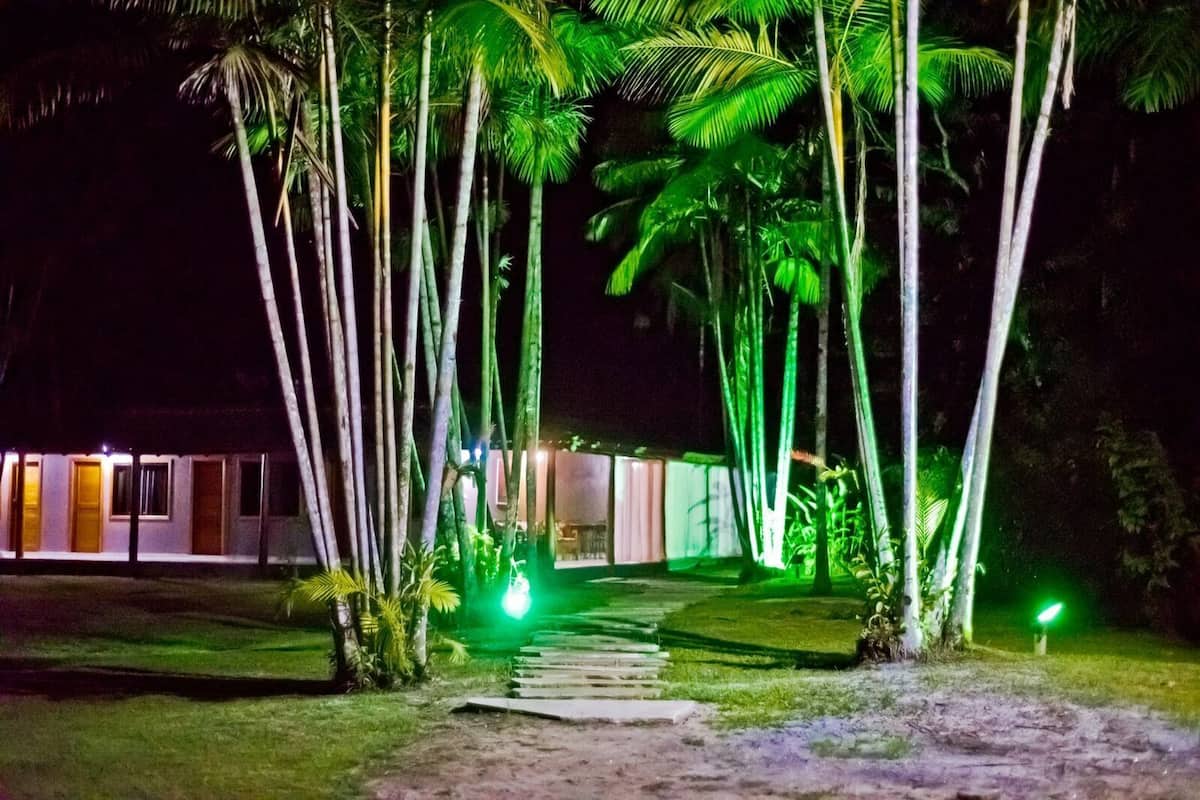 Un camino que lleva a un edificio rodeado de altas palmeras, de noche.