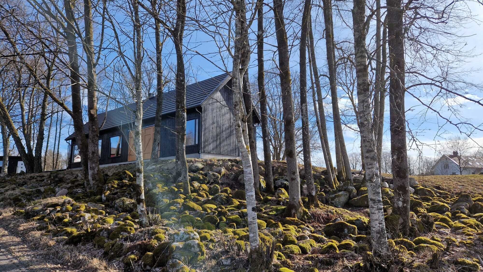 A rustic cabin with a sloped roof, surrounded by birch trees and moss-covered rocks.