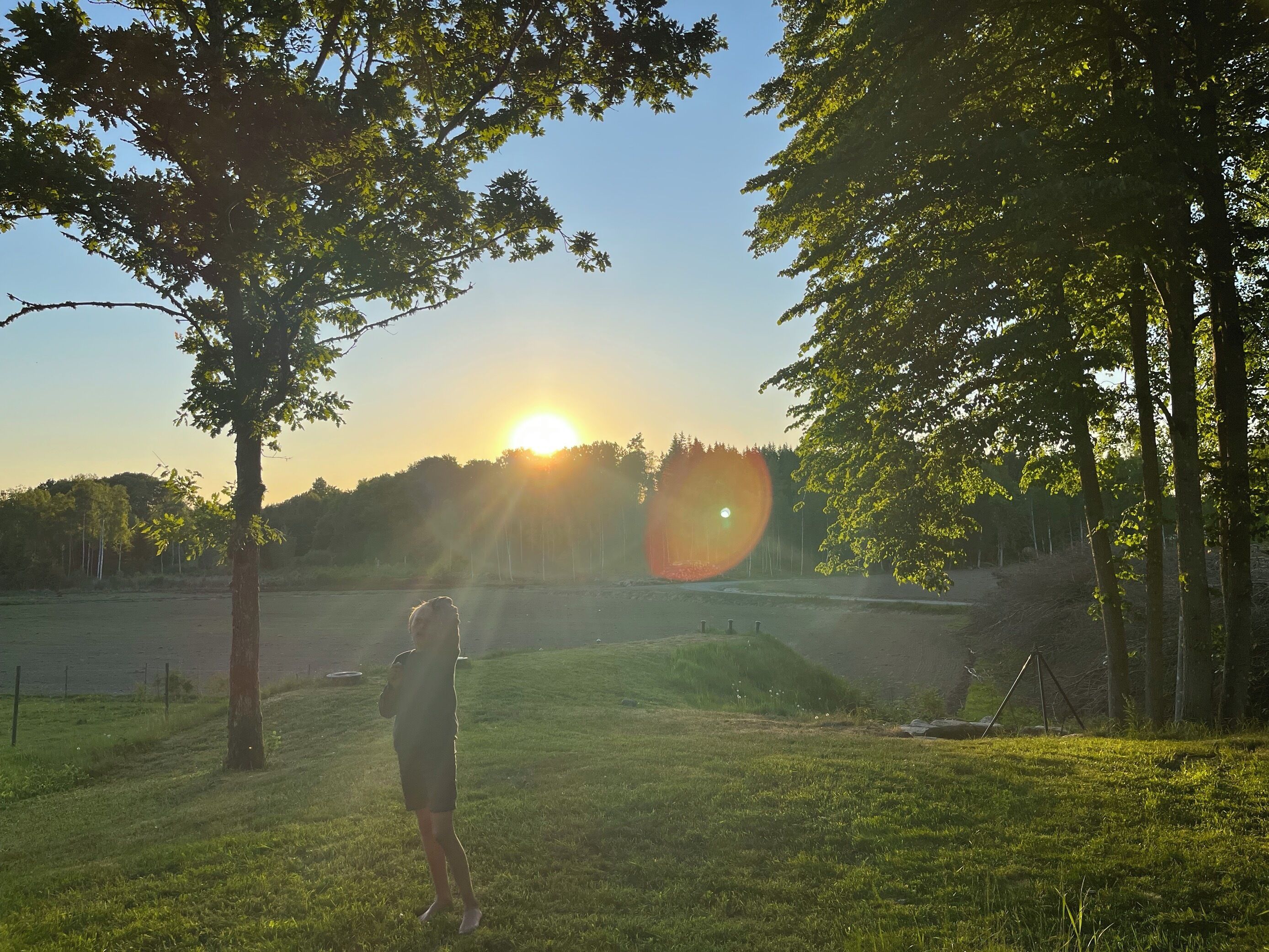 Une personne se tient dans un champ herbeux, avec des arbres et un ciel dégagé.