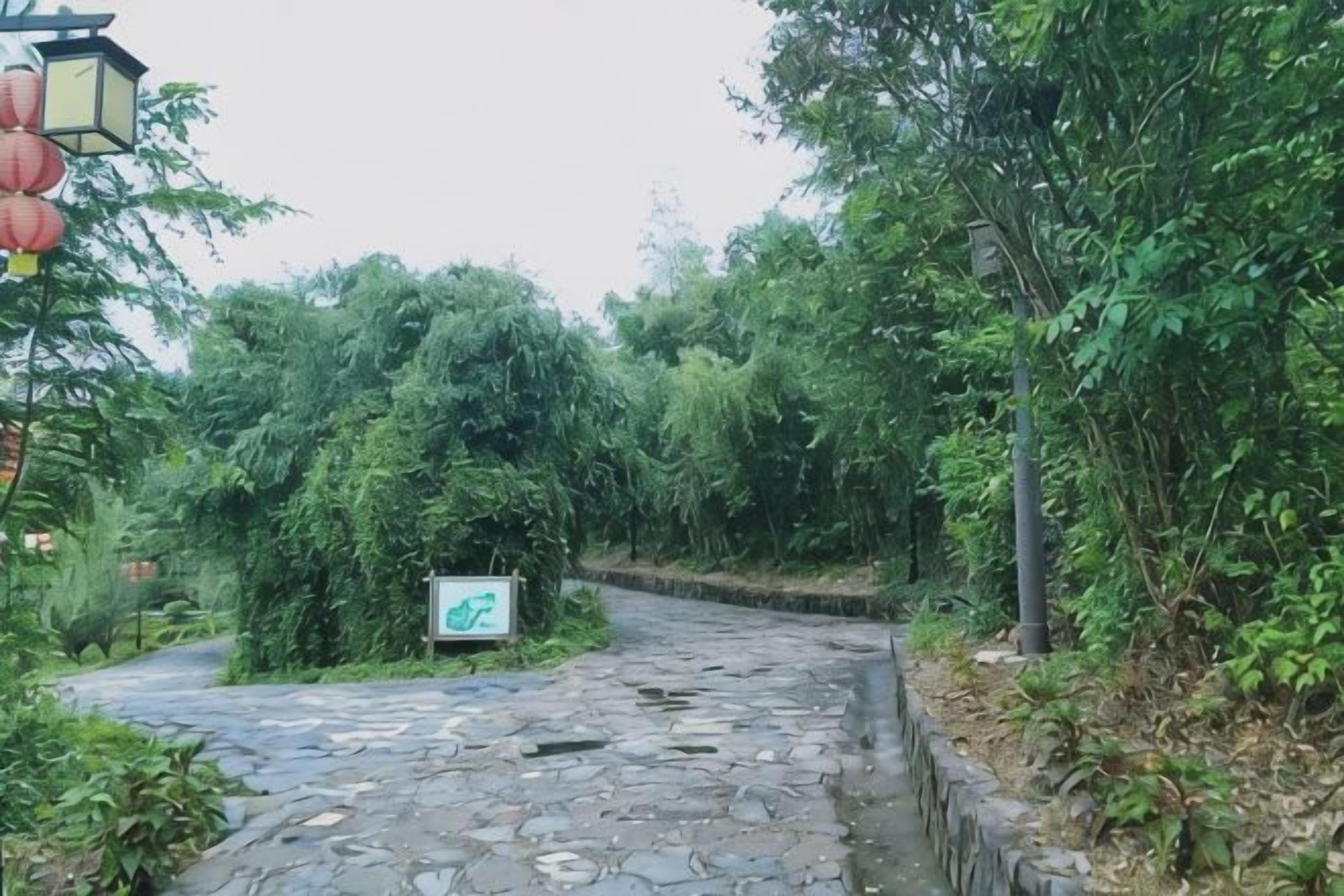A stone pathway leading through a lush green area with a sign indicating a bicycle route.