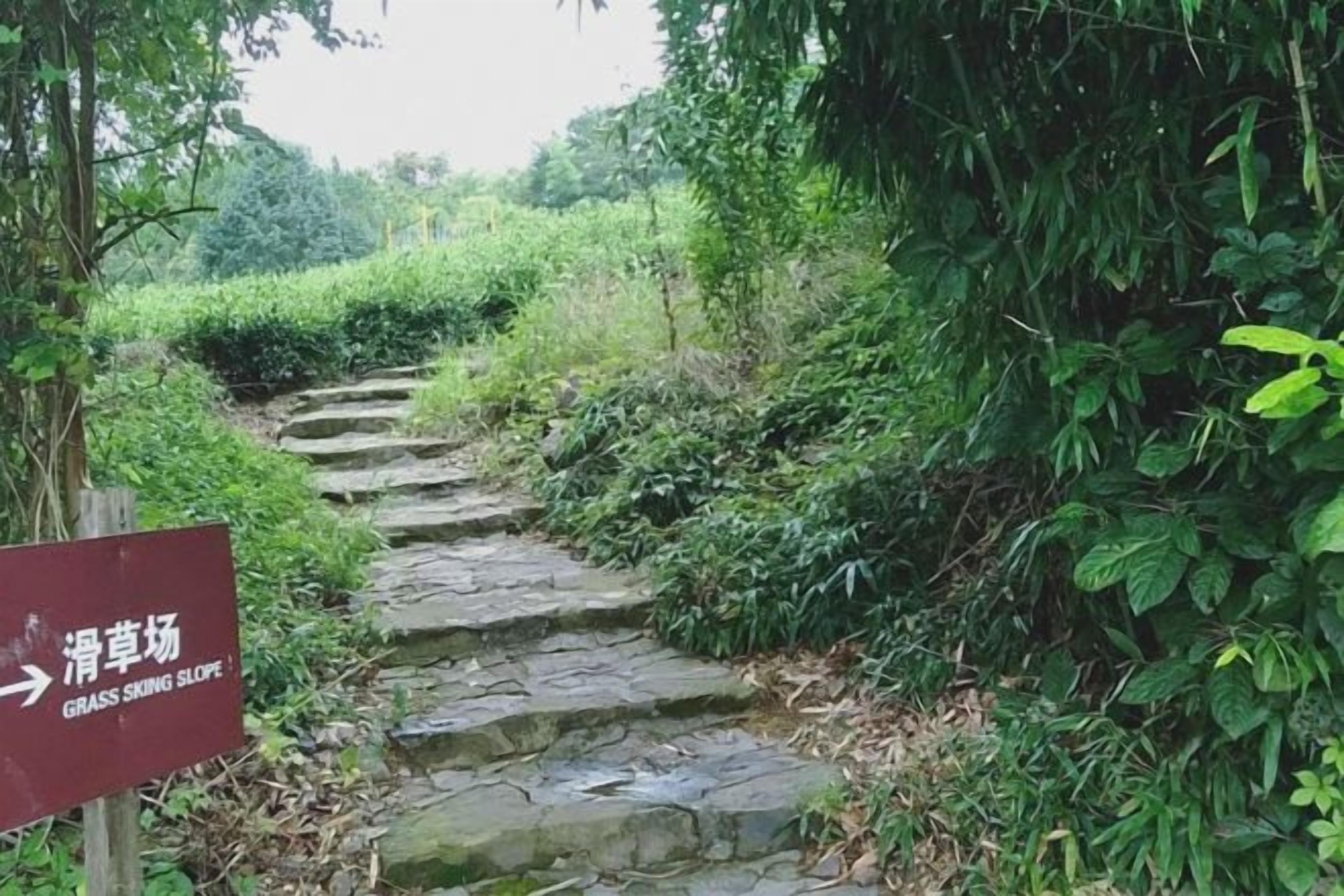 A stone staircase leading uphill, surrounded by lush greenery.