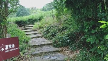 A stone staircase leading uphill, surrounded by lush greenery.