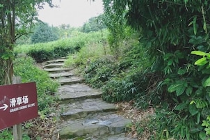 Una escalera de piedra que asciende, rodeada de abundante vegetación.