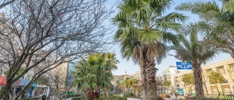 Un'area verde curata con palme, un vialetto sinuoso e edifici sullo sfondo.