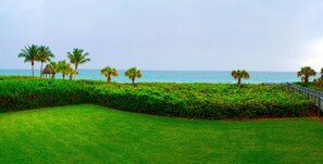 A lush green lawn, palm trees, and a gazebo by the sea. - Direct Oceanfront Unit!!! Will accept 30 day minimum rentals. (Juno Beach)