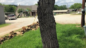 Une allée de gravier mène à un bâtiment doté d’un mur en pierre et d’un arbre en premier plan.