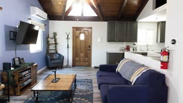 Smart TV, fireplace, video games, DVD player