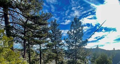 The Pinecone House- EV Charger+Dog Friendly+Views!