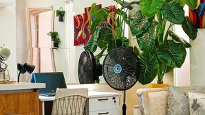 Ein modernes Wohnzimmer mit Schreibtisch, Stuhl und einer großen Pflanze.