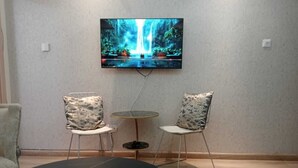 Un salon avec un téléviseur fixé au mur diffusant une scène de cascade, deux fauteuils avec des coussins à motifs et une table basse de couleur sombre.
