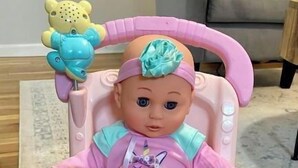 A doll seated in a pink and white baby rocker with a tray table and a toy bear. - Dogtown St Louis Family & Pet Favorite!Yard, Barnes, SLU,WashU, Forest Park,Zoo (St. Louis)