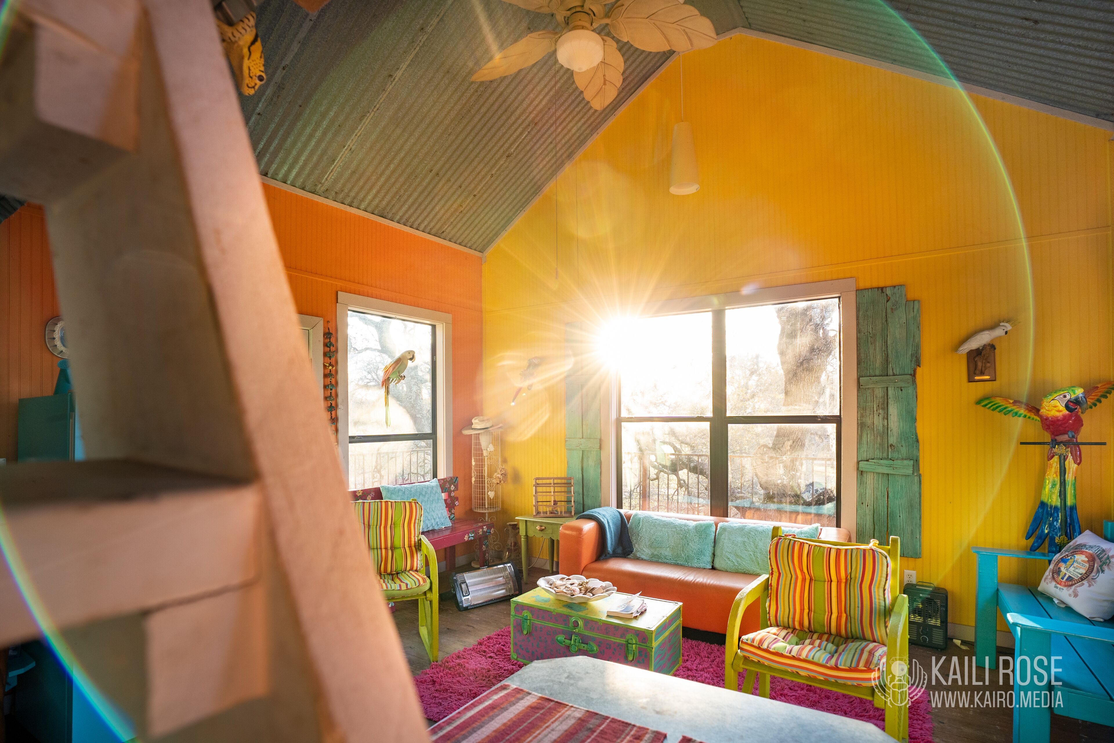 Una habitación de colores brillantes con un ventanal grande, un ventilador de techo y un loro en su posadero.