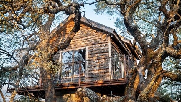Eine Holzhütte mit Balkon, umgeben von hohen Bäumen.