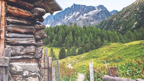 Apartment (1 Bedroom) | Interior - Italianway - Ripa Fontana 1 Bilo (Valdidentro)