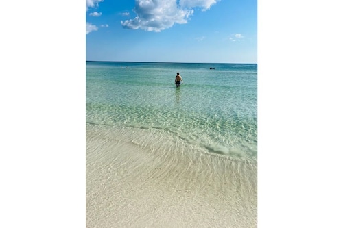 Serene Home with PRIVATE Pool - Near Beaches - Dog Friendly - Firepit&Large Yard