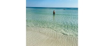 Serene Home with PRIVATE Pool - Near Beaches - Dog Friendly - Firepit&Large Yard