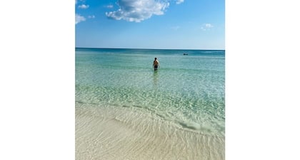 Serene Home with PRIVATE Pool - Near Beaches - Dog Friendly - Firepit&Large Yard