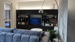 A living room with a grey sofa, a TV, and a bookshelf.