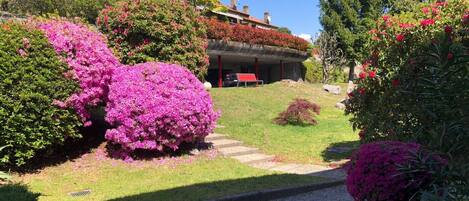 Áreas de la propiedad