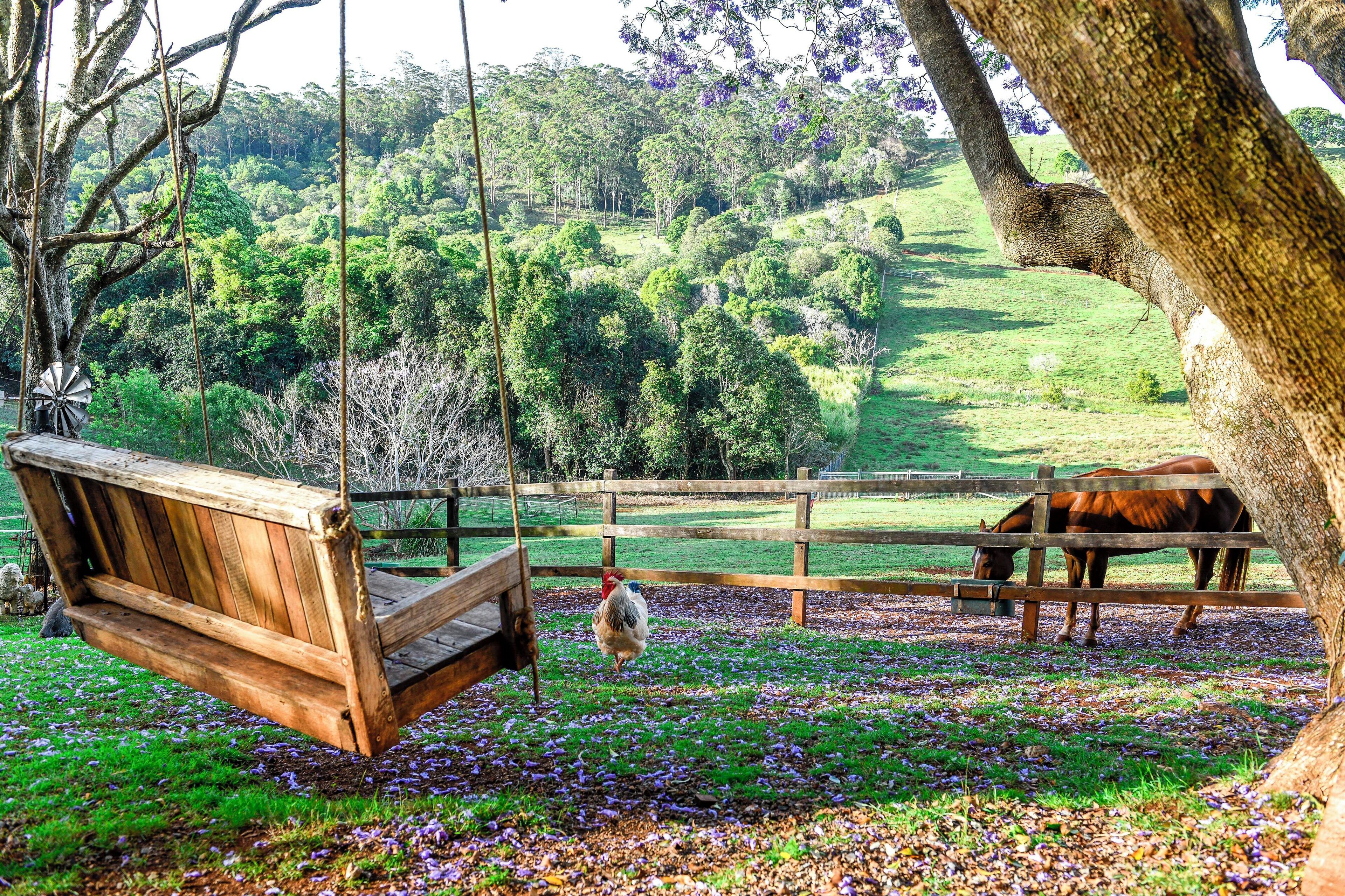 A wooden swing bench, a horse, and a fence in a lush green landscape.