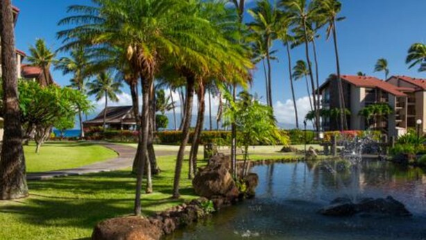 A resort with a pond, palm trees, and a building with a red roof.
