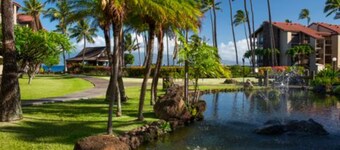 Relaxing haven on 13 oceanfront acres of lush tropical landscaping,/