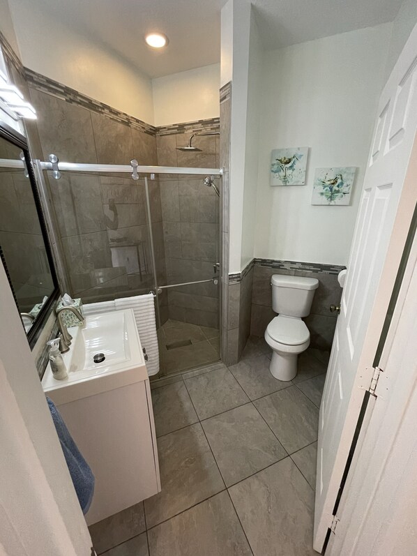 A bathroom with a walk-in shower, a sink, and a toilet.
