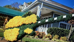 Una casa con una escultura única de jardín, flores amarillas y una valla blanca.
