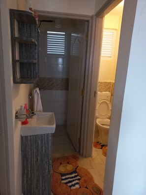 Towels, toilet paper - The lavish one bedroom apartment  is perfect for single or couple guests. (Ongata rongai)