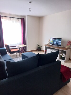 Living area - The lavish one bedroom apartment  is perfect for single or couple guests. (Ongata rongai)