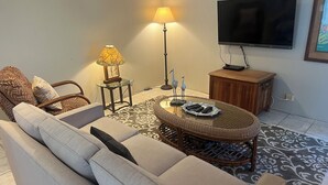 Un salon avec un canapé, une table basse sur laquelle sont posées des télécommandes, une lampe, un téléviseur et un tapis à motifs.