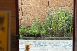 A view through a doorway with a stone wall and vegetation outside. - Xiangmo Youth Hostel (Jianchuan)
