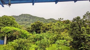 A lush green landscape with dense vegetation and a mountain in the background. - Lodging near mountains (El Valle de Antón)