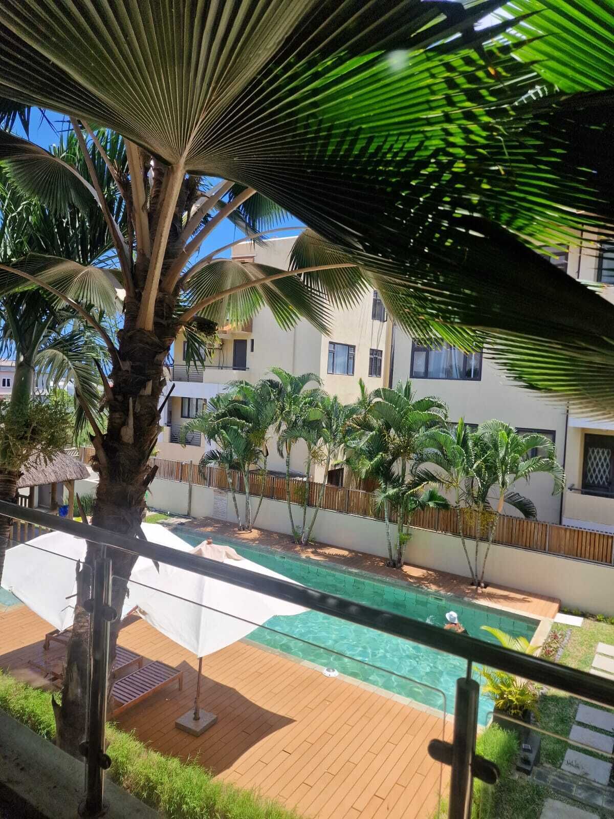 A poolside view with a palm tree, a wooden deck, and a building with multiple windows.