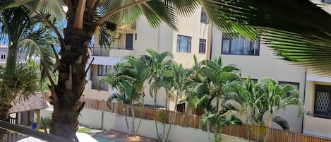 A poolside view with a palm tree, a wooden deck, and a building with multiple windows.