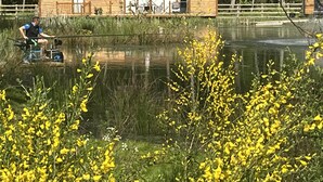 A wooden cabin by a lake with a person on a boat. - Pine Boutique Lodge with hot tub for couples & dog (York)